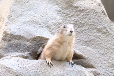 神戸どうぶつ王国に投稿された画像（2022/5/6）