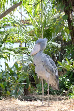 神戸どうぶつ王国に投稿された画像（2022/5/6）
