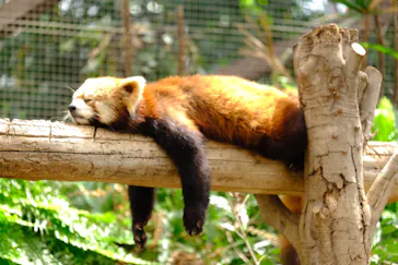 神戸どうぶつ王国に投稿された画像（2022/5/6）