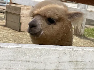 神戸どうぶつ王国に投稿された画像（2022/5/6）