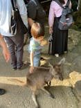 伊豆シャボテン動物公園に投稿された画像（2022/5/6）