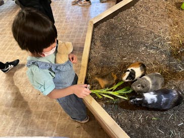 伊豆シャボテン動物公園に投稿された画像（2022/5/6）