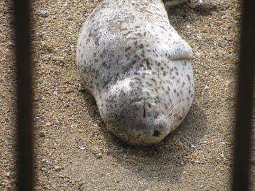 伊豆・三津シーパラダイスに投稿された画像（2022/5/6）