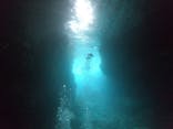 武藤潜水に投稿された画像（2022/5/6）