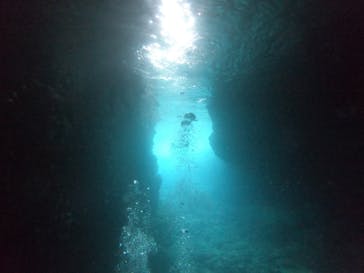 武藤潜水に投稿された画像（2022/5/6）