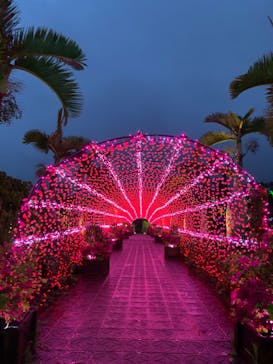 美らヤシパークオキナワ・東南植物楽園に投稿された画像（2022/5/6）