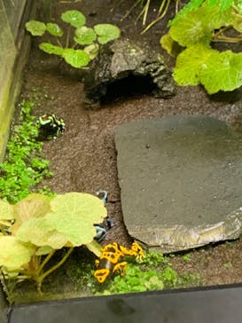 サンシャイン水族館に投稿された画像（2022/5/6）