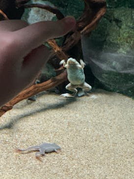 サンシャイン水族館に投稿された画像（2022/5/6）