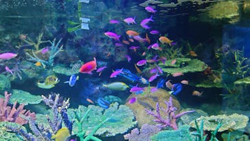 サンシャイン水族館に投稿された画像（2022/5/6）