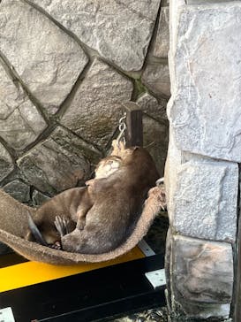 伊豆・三津シーパラダイスに投稿された画像（2022/5/6）