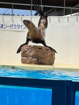 伊豆・三津シーパラダイスに投稿された画像（2022/5/6）