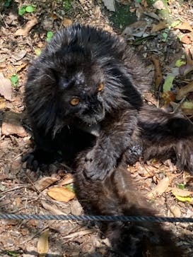 長崎バイオパークに投稿された画像（2022/5/6）