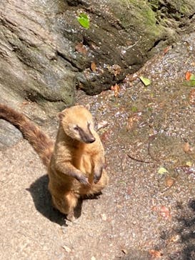 長崎バイオパークに投稿された画像（2022/5/6）