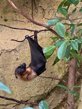 長崎バイオパークに投稿された画像（2022/5/6）