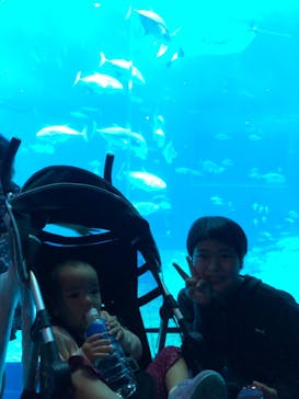 沖縄美ら海水族館に投稿された画像（2022/5/6）