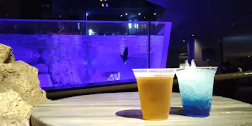 すみだ水族館に投稿された画像（2022/5/6）