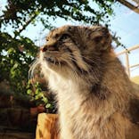 那須どうぶつ王国に投稿された画像（2022/5/6）