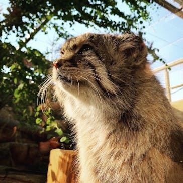 那須どうぶつ王国に投稿された画像（2022/5/6）