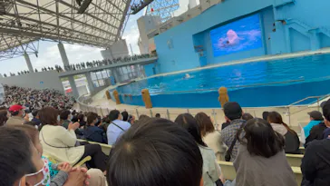 横浜・八景島シーパラダイスに投稿された画像（2022/5/6）