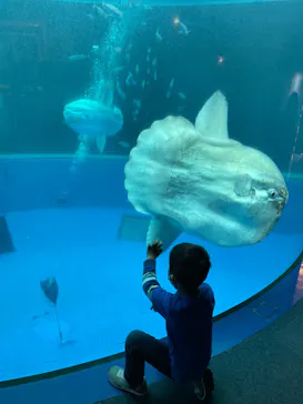 横浜・八景島シーパラダイスに投稿された画像（2022/5/6）