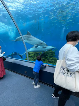 横浜・八景島シーパラダイスに投稿された画像（2022/5/6）