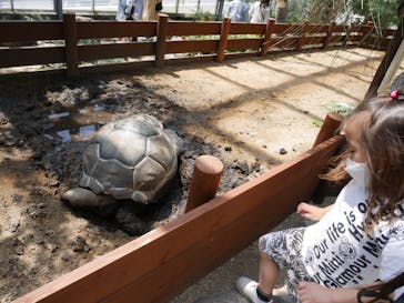 淡路ファームパーク イングランドの丘に投稿された画像（2022/5/6）