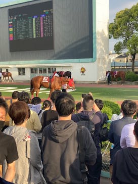 園田競馬場に投稿された画像（2022/5/6）