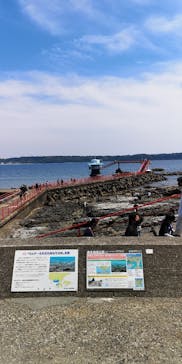 串本海中公園水族館に投稿された画像（2022/5/6）