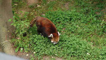 ひらかたパークに投稿された画像（2022/5/6）