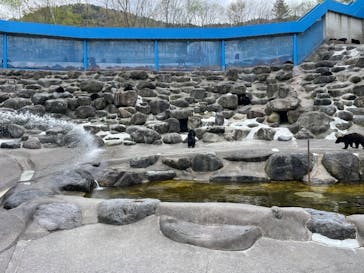 奥飛騨クマ牧場に投稿された画像（2022/5/6）