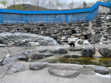 奥飛騨クマ牧場に投稿された画像（2022/5/6）