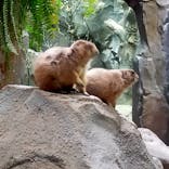 神戸どうぶつ王国に投稿された画像（2022/5/6）