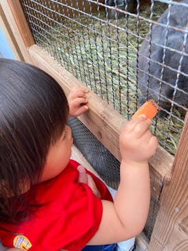 まかいの牧場に投稿された画像（2022/5/6）