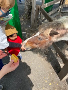 まかいの牧場に投稿された画像（2022/5/6）