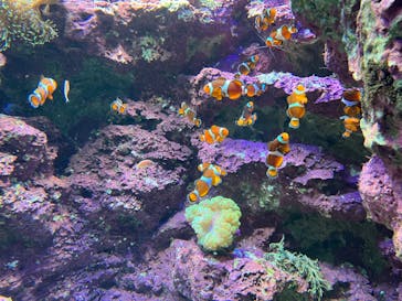 サンシャイン水族館に投稿された画像（2022/5/6）