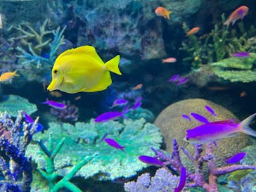 サンシャイン水族館に投稿された画像（2022/5/6）