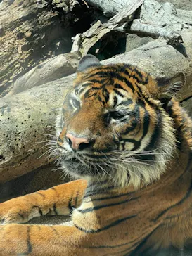 神戸どうぶつ王国に投稿された画像（2022/5/6）