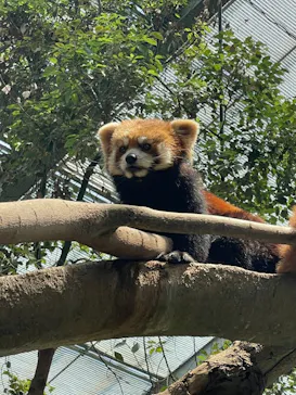 神戸どうぶつ王国に投稿された画像（2022/5/6）