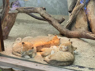 神戸どうぶつ王国に投稿された画像（2022/5/6）