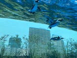 サンシャイン水族館に投稿された画像（2022/5/6）
