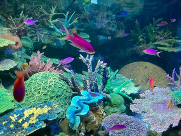 サンシャイン水族館に投稿された画像（2022/5/6）