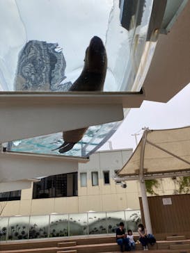 サンシャイン水族館に投稿された画像（2022/5/6）