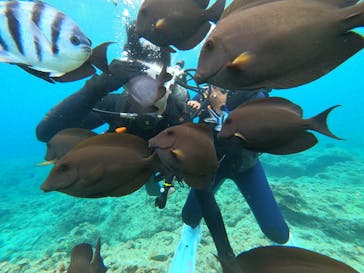 DIVING-SHOP SUNSに投稿された画像（2022/5/6）