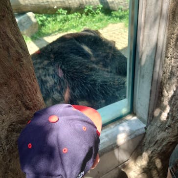 東武動物公園に投稿された画像（2022/5/6）