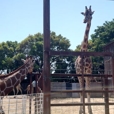 東武動物公園に投稿された画像（2022/5/6）