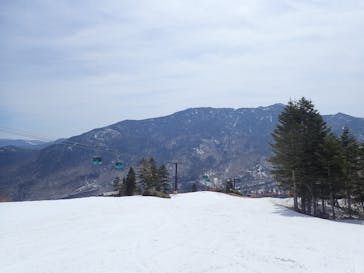 志賀高原焼額山スキー場に投稿された画像（2022/5/6）