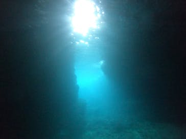 武藤潜水に投稿された画像（2022/5/6）