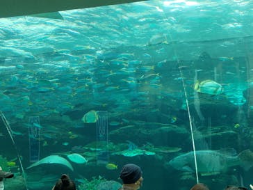名古屋港水族館に投稿された画像（2022/5/6）