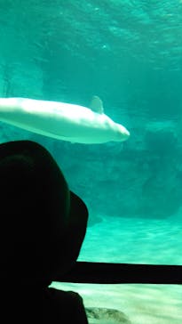 名古屋港水族館に投稿された画像（2022/5/6）