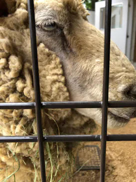 天王寺動物園に投稿された画像（2022/5/6）